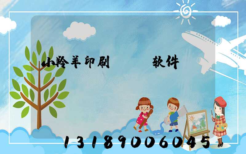 小羚羊印刷erp软件